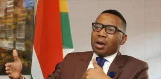 Mduduzi Manana defends his NEC re-election