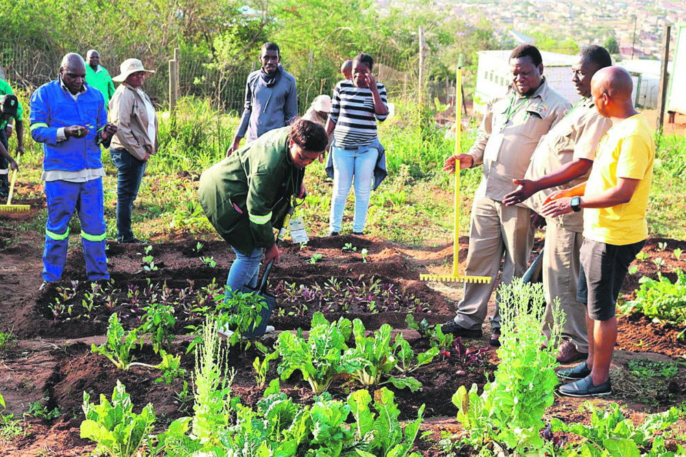 Women in agriculture