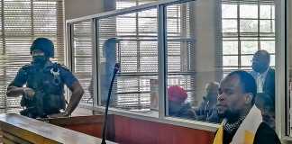 Fisokuhle Ntuli in court