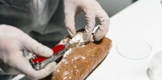 Two Mpumalanga men due in court over R26m drug production