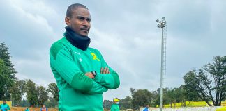 Sundowns and Mokwena