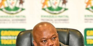 Parly fines Nhlamulo Ndhlela, Sihle Zikalala, other MPs R10K for breach of ethics rules