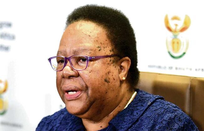 Ex-Minister Naledi Pandor takes up new academic role at UP