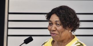 KwaZulu-Natal best-performing status is merely a fallacy – DA Minister Angie Motshekga