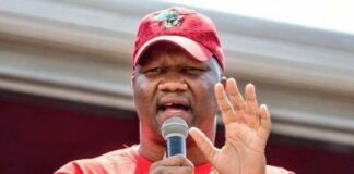 EFF secretary Marshall Dlamini