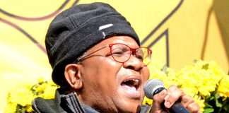 Fikile Mbalula