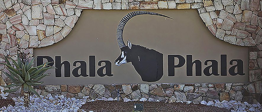 Phala phala theft case