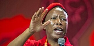 Malema budget reaction
