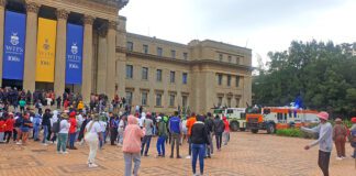 Wits