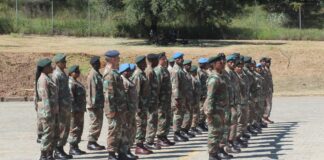 SANDF