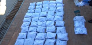 Drug mule arrested