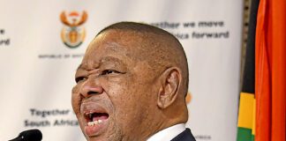 Blade Nzimande