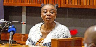 Rosemary Ndlovu case