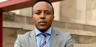 Hamilton Ndlovu gets jail term