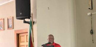 SA's border management