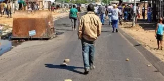 Diepsloot's