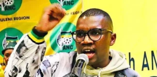 ANC Youth League joins Mbalula's Gauteng leadership onslaught