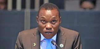 'Withdrawal of charges will end unjust attacks on Gwamanda'