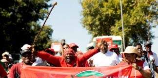 Nehawu versus Meyer