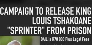 Scammers try luck to cash in on Louis