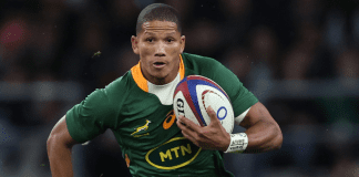 Springboks versus Pumas clash