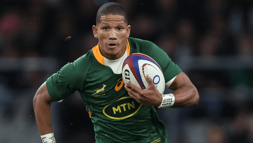 Springboks versus Pumas clash