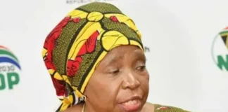 Policy dialogue to place GBVF under the spotlight ... again