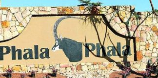 Phala Phala farmgate report