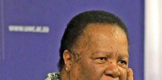 Pandor challenges Malema