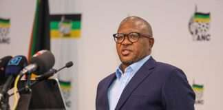 Fikile Mbalula elections