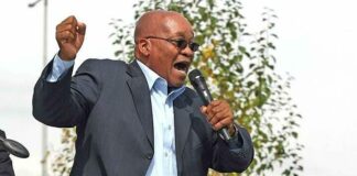 Zuma