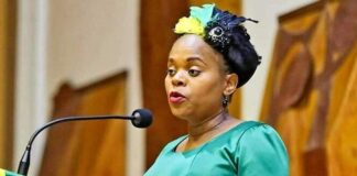 Limpopo Premier