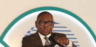 Blade Nzimande corruption