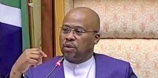 Dyantyi and Majodina Parliament's Ethics committee