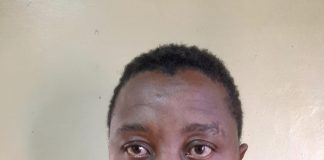Neo Makhokolo
