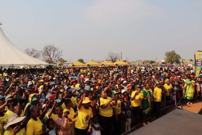 ANC by-election