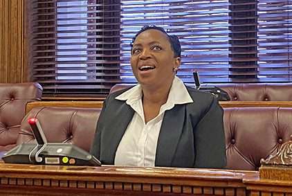 Public protector