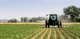agricultural land