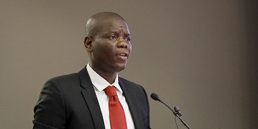 South Africa welcomes support from Germany