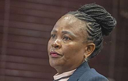 Busisiwe Mkhwebane faces backlash