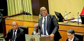 Panyaza Lesufi's Sopa