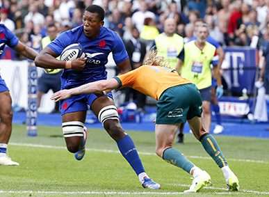 Springboks