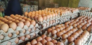 Shortage of eggs