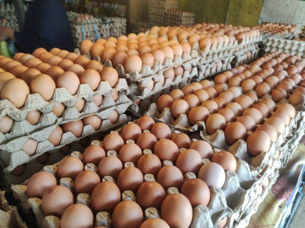 Shortage of eggs