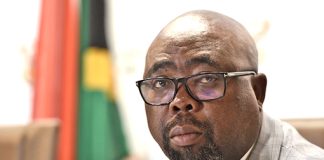 Thulas Nxesi.