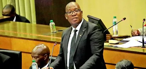 ANC Youth League demands MEC post from Panyaza Lesufi