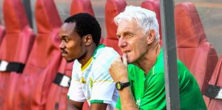 There is too much pressure on Percy Tau – Broos