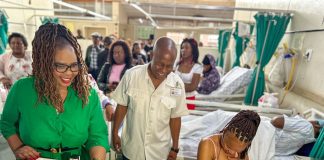 Gauteng health MEC
