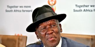 Festive season crime operations yield results - police minister
