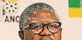 Fikile Mbalula sheriff